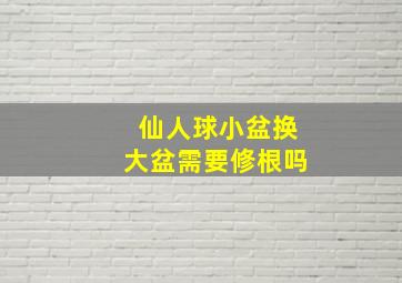 仙人球小盆换大盆需要修根吗