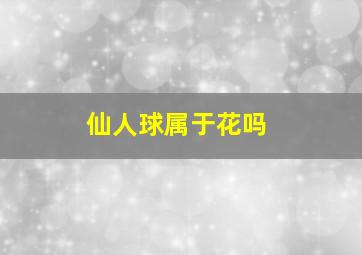 仙人球属于花吗