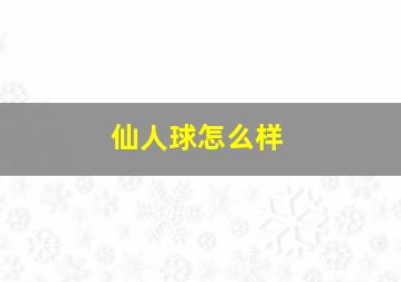 仙人球怎么样