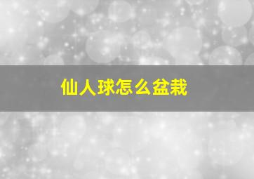 仙人球怎么盆栽