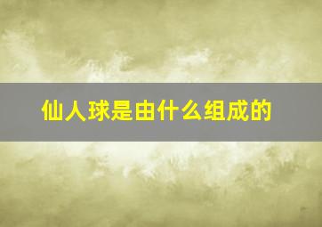 仙人球是由什么组成的