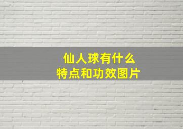 仙人球有什么特点和功效图片