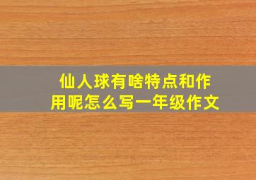 仙人球有啥特点和作用呢怎么写一年级作文