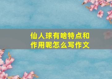 仙人球有啥特点和作用呢怎么写作文