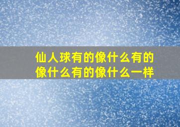 仙人球有的像什么有的像什么有的像什么一样