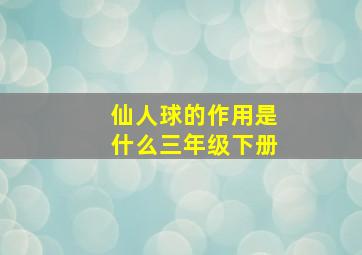 仙人球的作用是什么三年级下册