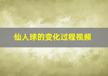 仙人球的变化过程视频