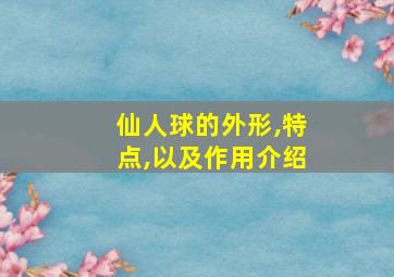 仙人球的外形,特点,以及作用介绍