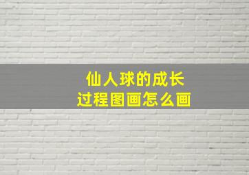 仙人球的成长过程图画怎么画