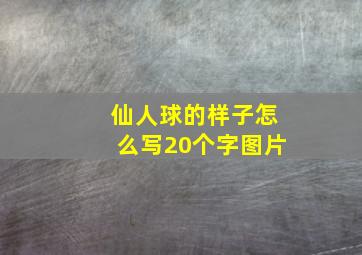 仙人球的样子怎么写20个字图片