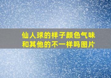 仙人球的样子颜色气味和其他的不一样吗图片