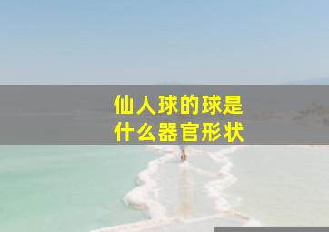 仙人球的球是什么器官形状