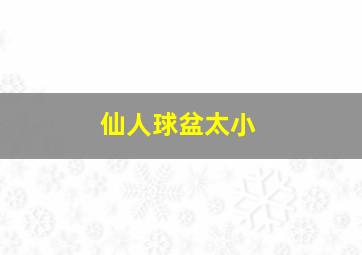 仙人球盆太小