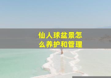 仙人球盆景怎么养护和管理