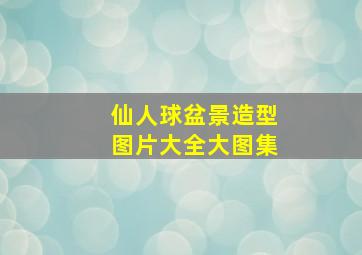 仙人球盆景造型图片大全大图集