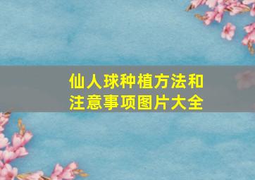 仙人球种植方法和注意事项图片大全