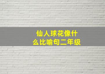 仙人球花像什么比喻句二年级