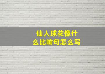 仙人球花像什么比喻句怎么写