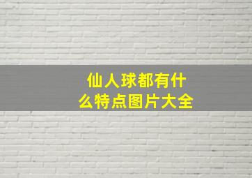 仙人球都有什么特点图片大全