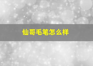 仙哥毛笔怎么样