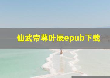 仙武帝尊叶辰epub下载