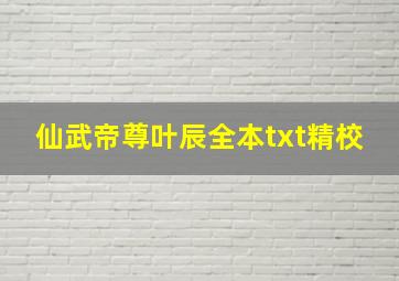 仙武帝尊叶辰全本txt精校