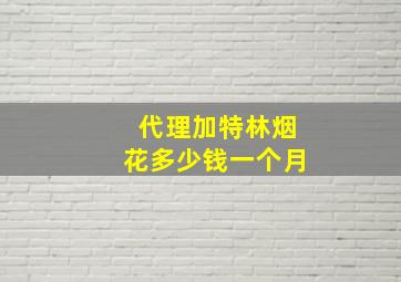 代理加特林烟花多少钱一个月