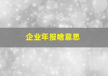 企业年报啥意思