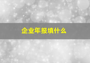 企业年报填什么