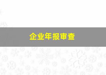 企业年报审查