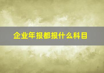 企业年报都报什么科目