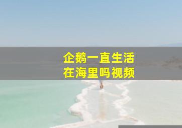 企鹅一直生活在海里吗视频