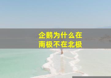 企鹅为什么在南极不在北极