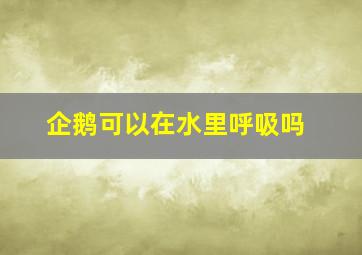 企鹅可以在水里呼吸吗