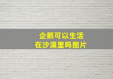 企鹅可以生活在沙漠里吗图片