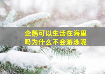 企鹅可以生活在海里吗为什么不会游泳呢