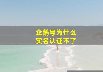 企鹅号为什么实名认证不了