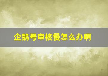 企鹅号审核慢怎么办啊