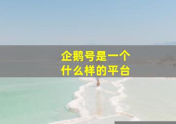 企鹅号是一个什么样的平台