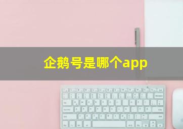 企鹅号是哪个app