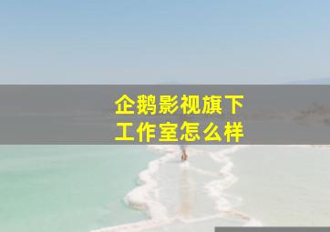 企鹅影视旗下工作室怎么样