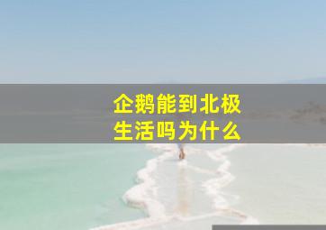 企鹅能到北极生活吗为什么