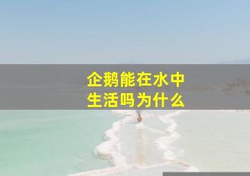 企鹅能在水中生活吗为什么