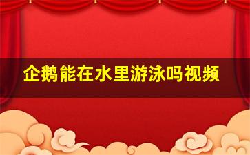 企鹅能在水里游泳吗视频