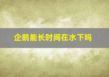 企鹅能长时间在水下吗