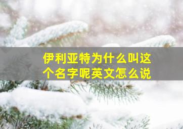 伊利亚特为什么叫这个名字呢英文怎么说