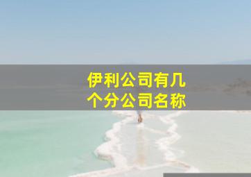 伊利公司有几个分公司名称