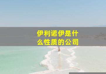 伊利诺伊是什么性质的公司