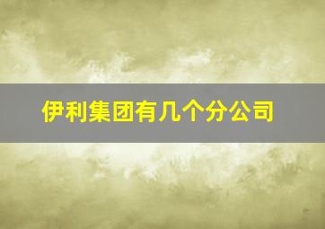 伊利集团有几个分公司