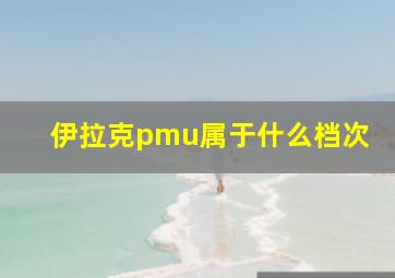 伊拉克pmu属于什么档次